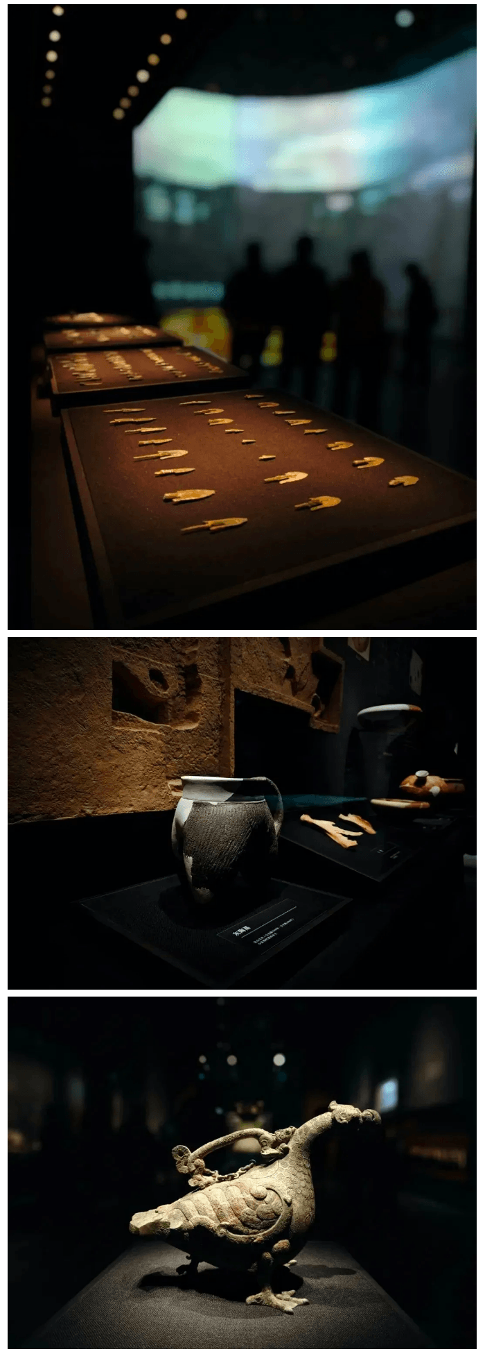 1733292081-20241204120201_06