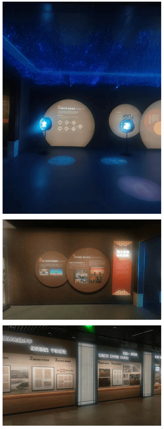 1733359616-20241205120101_04